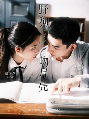 野狗吻月亮（68集）完整版免费观看