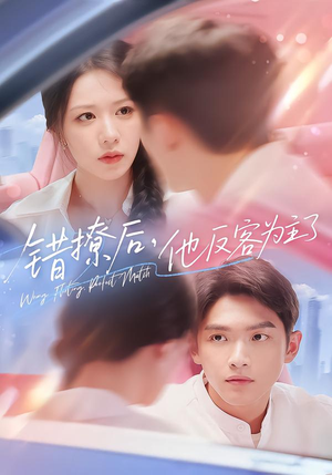 错撩后他反客为主了（72集）1-102集