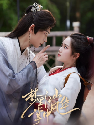 梦里江山掌中风华（80集）好看吗