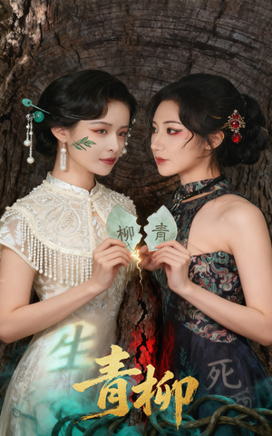 青柳（79集）怎么看全集