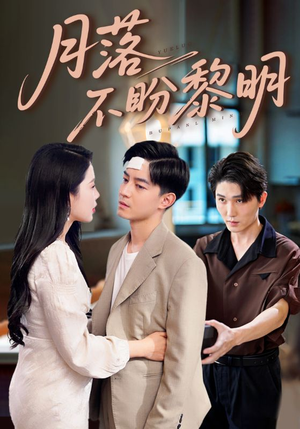 月落不盼黎明（64集）好看吗