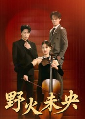 野火未央（40集）番茄免费短剧