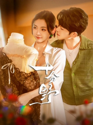 摘星予南风（73集）免费短剧完整版