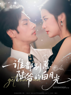 谁都别惹陆爷的白月光（79集）精彩短剧来袭