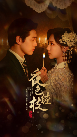 夜色缠枝（60集）全集都在这里了