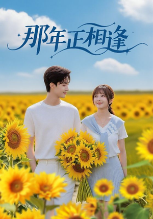 那年正相逢（60集）常回家看看短剧