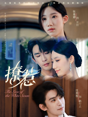 撩惹（80集）精彩连连免费看