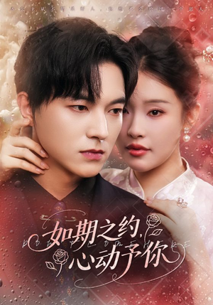 如期之约心动予你（82集）短剧在线观看