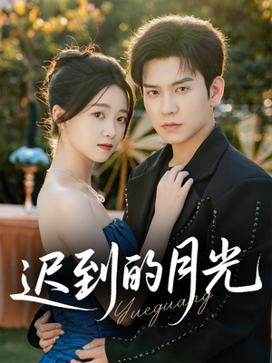 迟到的月光（80集）全部免费看全集