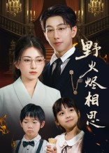 野火烬相思（61集）超火短剧抢先看