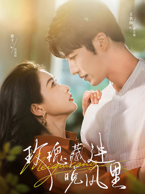 玫瑰藏进晚风里（68集）1-102集