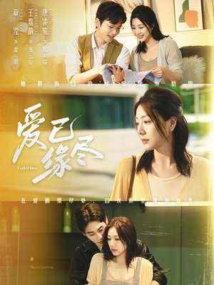 爱已缘尽（62集）排行榜前十短剧