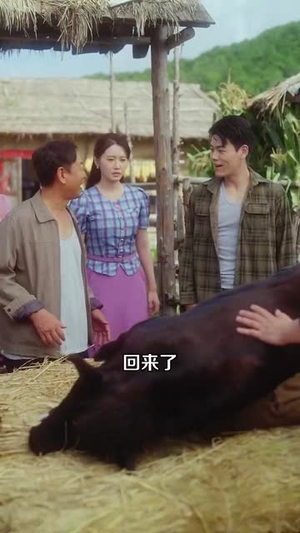 开局瘸腿狩猎致富娶村花（87集）精彩不断免费看