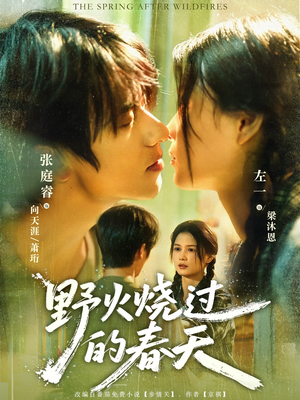 野火烧过的春天（85集）精彩短剧热播