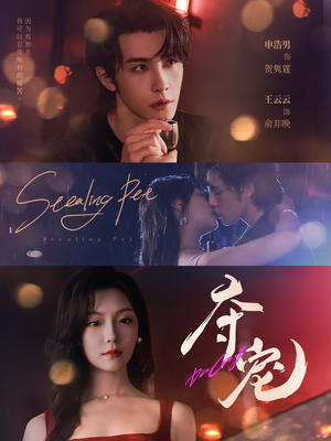 夺宠（88集）热播短剧抢先看