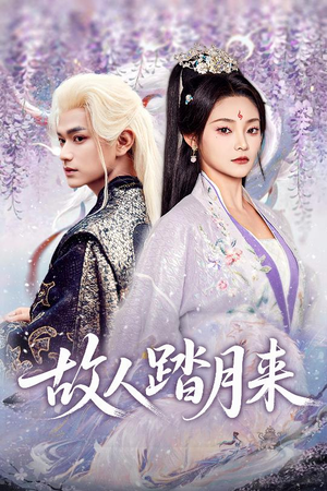 故人踏月来（60集）短剧中追到爽