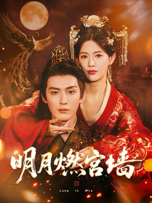 明月燃宫墙（60集）一口气看完