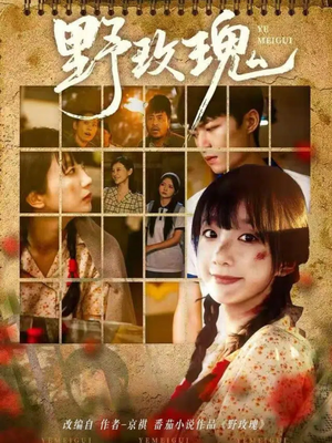 野玫瑰（82集）爱短剧爱追剧