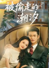 被偷走的潮汐（60集）短剧在哪个平台