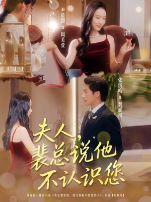 夫人裴总说他不认识您（75集）最火短剧推荐