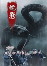 蛇影（25集）热播短剧排行榜