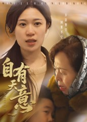 自有天意（35集）口碑爆棚免费看