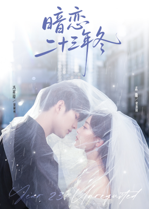 暗恋二十三年冬（60集）全集一次看完