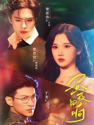 昼夜回响（76集）热门短剧推荐