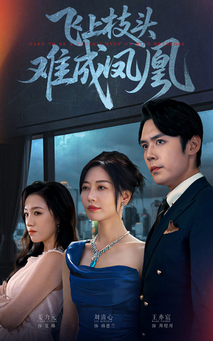 飞上枝头难成凤凰（47集）高清无码免费看