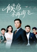 候鸟不再南飞（80集）经典回顾免费看