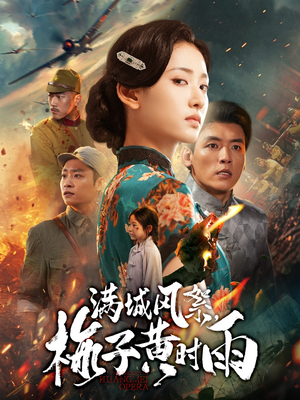 满城风絮梅子黄时雨（58集）古装短剧热播
