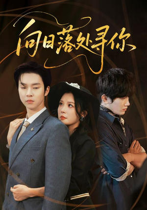 向日落处寻你(70集) 向日落处寻你(70集)女主谁演的