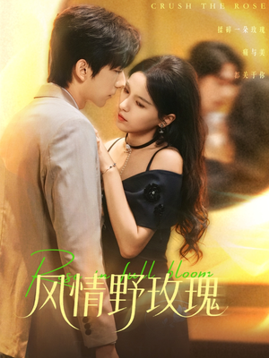 揉碎玫瑰（70集）短剧全集免费