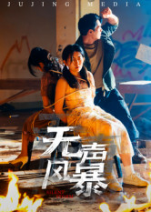 无声风暴（33集）全集一次看完