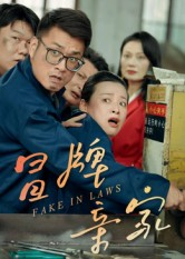 冒牌亲家（30集）怎么看全集