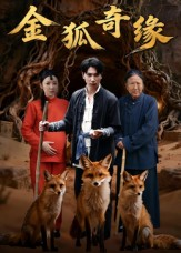 金狐奇缘（42集）短剧在线观看