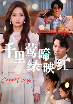 千里莺啼绿映红（63集）全剧看到大结局