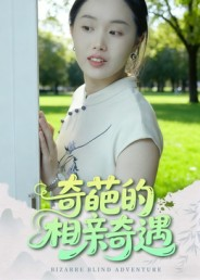 奇葩的相亲奇遇（17集）免费看