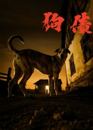 狗债（33集）短剧热播抢先看