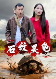 石纹灵龟（30集）推荐你们也去看