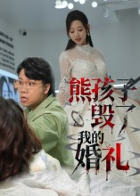 熊孩子毁了我的婚礼（36集）全剧看到大结局