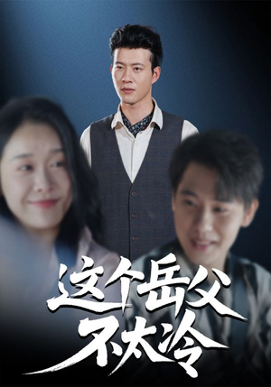 这个岳父不太冷（30集）每天短剧分享