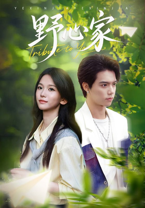 野心家（65集）第三季