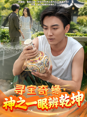 寻宝奇缘，神之一眼辨乾坤（80集）热门短剧推广
