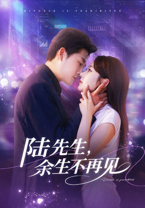 陆先生，余生不再见（88集）免费看短剧全集