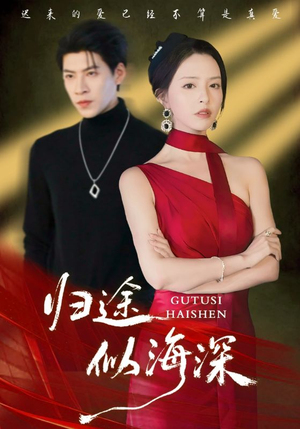 归途似海深（61集）每日分享短剧