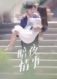 暗夜情事(100集) 暗夜情事(100集)直接追到结尾