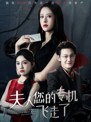 夫人您的专机飞走了（62集）经典回顾免费看