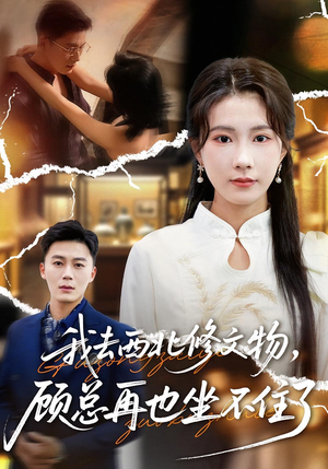 我去西北修文物，顾总再也坐不住了（46集）短剧在线观看