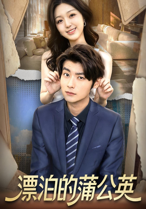 漂泊的蒲公英（60集）短剧演员排行榜